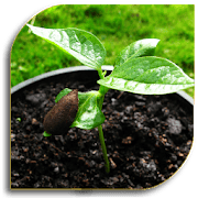 19 Best Gardening Apps for Android | Apps for Garden Planning